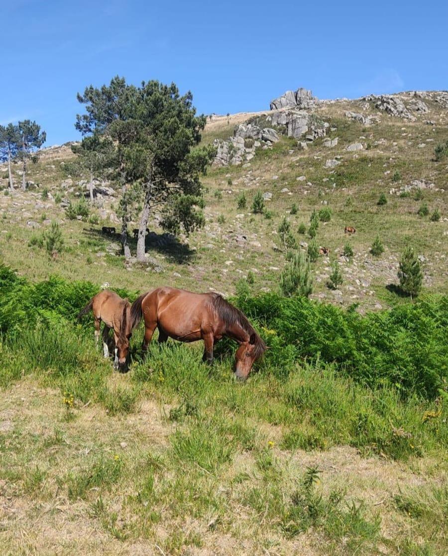 Cantinho Das Oliveiras Герес Экстерьер фото